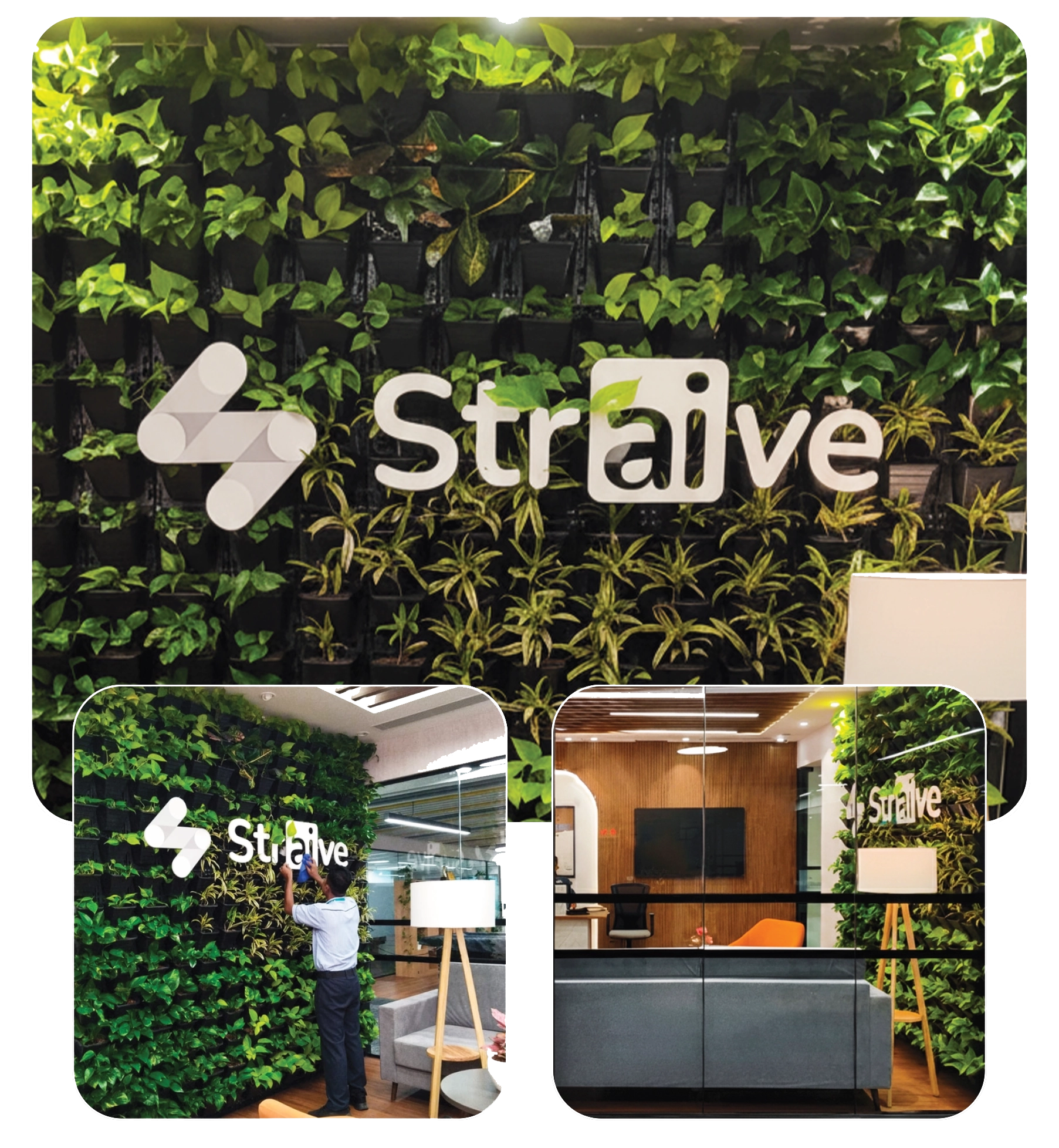 What’s New at Ayukta